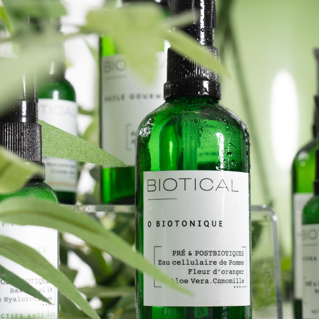 Probiotiques naturels : des aliments essentiels pour la santé intestinale