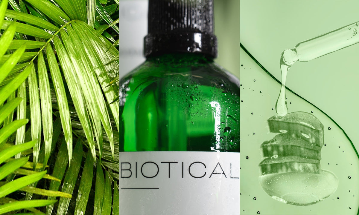 Peaux Grasses : Comprendre, Soigner et Equilibrer votre Microbiome Cutané